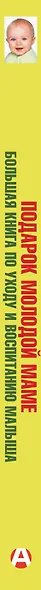 Подарок молодой маме. Большая книга по уходу и воспитанию малыша - фото 4