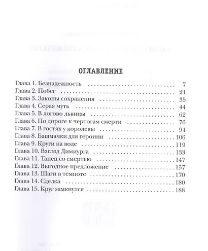 Тайна стоптанных башмачков. Мистический триллер - фото 2