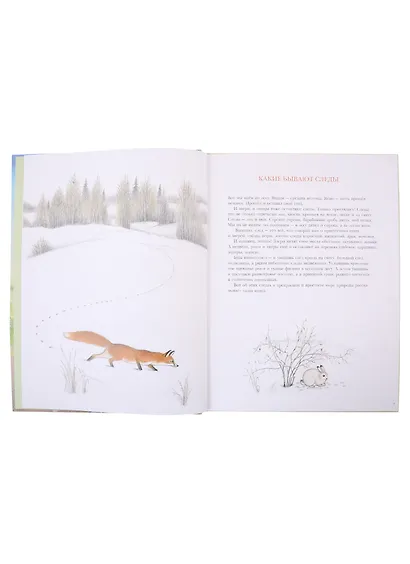 Следы - фото 2