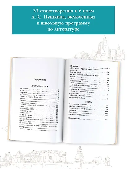 Медный всадник. Поэмы. С комментариями - фото 6