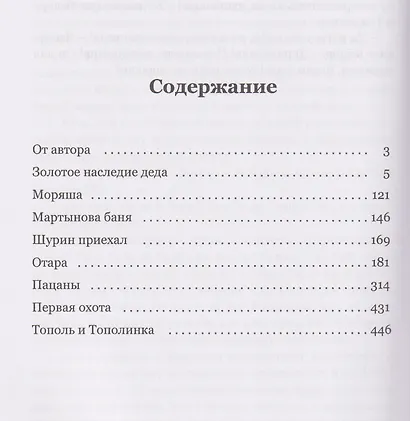 Россыпи. Сибирские повести и рассказы - фото 3