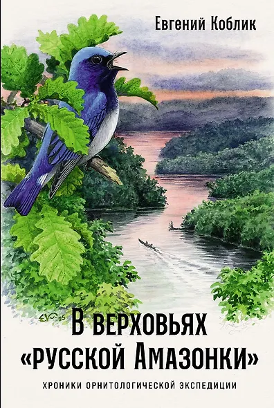 В верховьях «русской Амазонки»: Хроники орнитологической экспедиции - фото 1