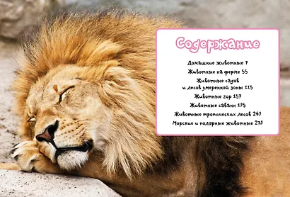 Моя любимая книга о животных - фото 3