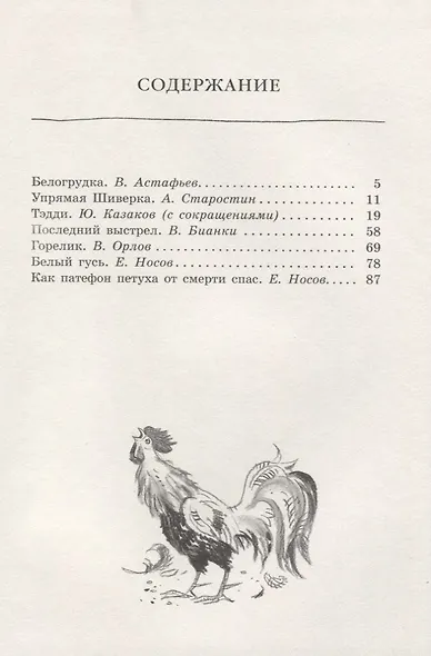 Белогрудка - фото 2