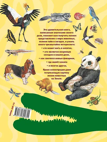 Животные. Уникальная энциклопедия - фото 2