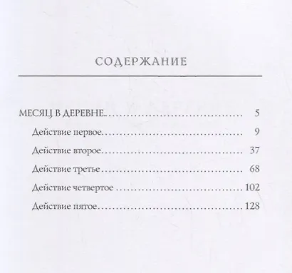 Месяц в деревне - фото 2