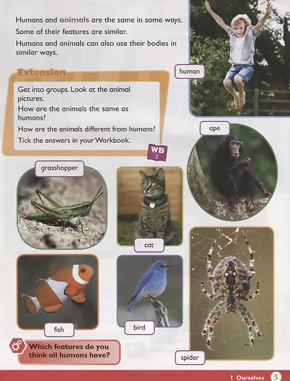 Max Science primary. Discovering through Enquiry. Student Book 1 - фото 5
