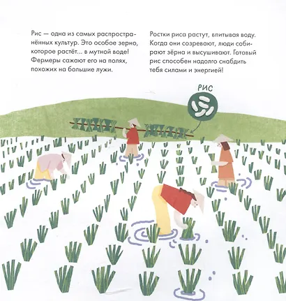 Я знаю, что я ем. Крупы - фото 5