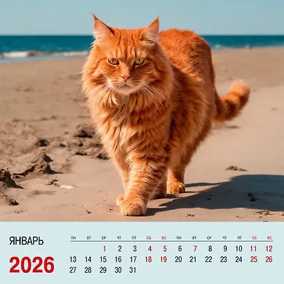 Календарь 2026г 320*320 "Кошки" настенный, на спирали - фото 4