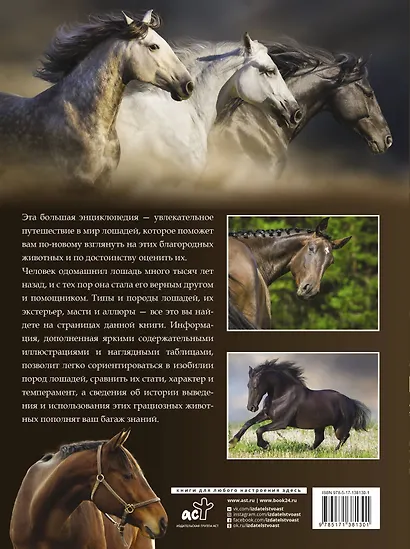 Большая энциклопедия. Лошади - фото 2