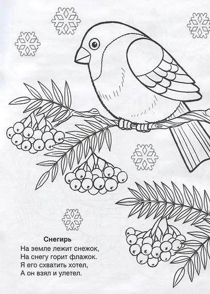 Кто летает в небе - фото 4