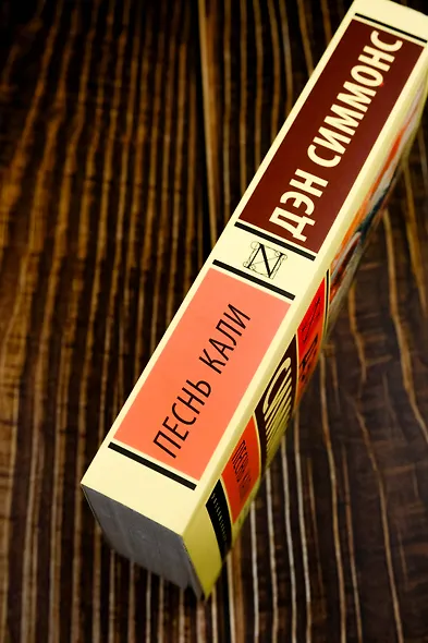 Песнь Кали - фото 7