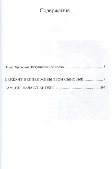 Сержант Пеппер живы твои сыновья Там где падают ангелы (Демидов) - фото 2