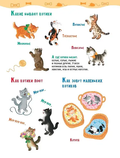 В гостях у котиков (+наклейки) - фото 3