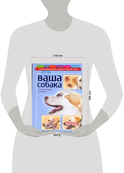 Ваша собака : атлас - фото 2