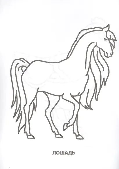 Домашние животные (супер-раскраска раскраска для маленьких, 32 картинки) - фото 3