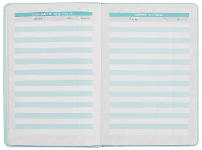 Дневник школьный Феникс+, "Плонже мятный" - фото 14