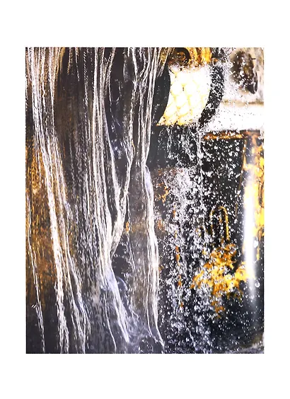 Романовы в Петергофе и Ораниенбауме - фото 6