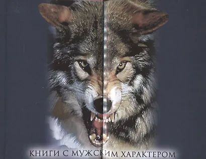 Давыд Городецкий. Сын Довмонта - фото 3