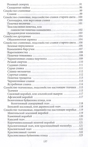 Певчие птицы - фото 5