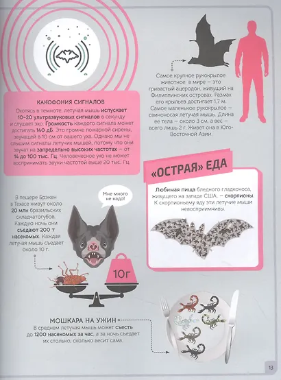 Животные - фото 4