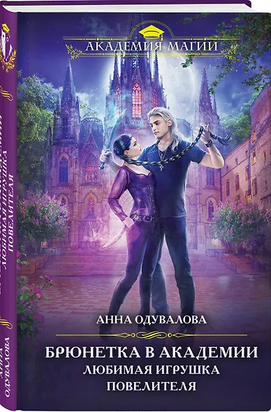 Брюнетка в академии. Любимая игрушка повелителя - фото 3