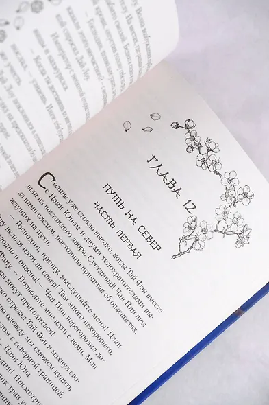 Песнь предсказателя Небес - фото 13