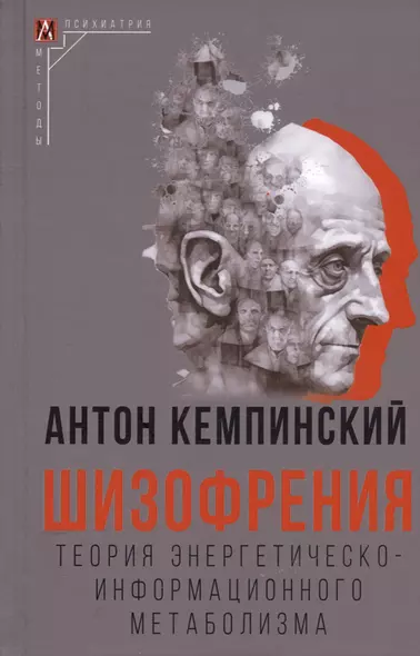 Шизофрения. Теория энергетическо-информационного метаболизма - фото 1