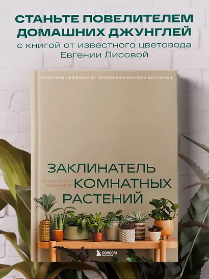 Заклинатель комнатных растений. Секретные лайфхаки от профессионального цветовода - фото 4