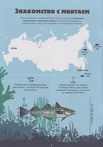 Тайна минтая - фото 2