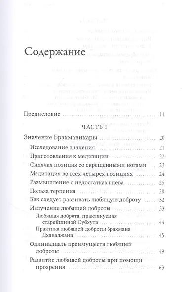 Брахмавихара-Дхамма - фото 2