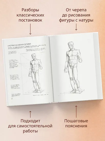 База академического рисунка. Фигура человека, голова, портрет и капитель - фото 6