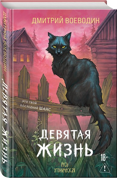 Девятая жизнь - фото 3