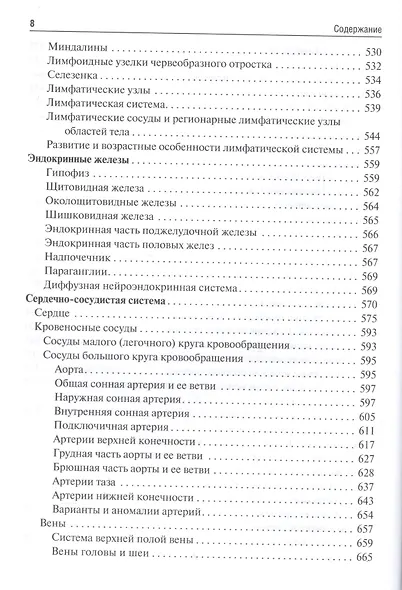 Анатомия человека. - фото 7