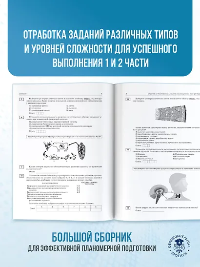 ЕГЭ-2026. Биология. 30 тренировочных вариантов экзаменационных работ для подготовки к единому государственному экзамену - фото 7