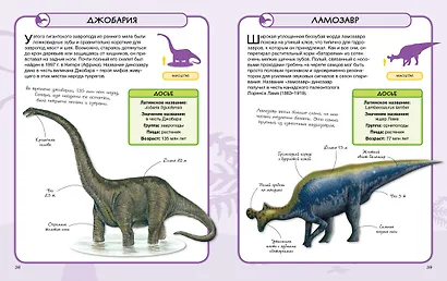 Динозавры - фото 7