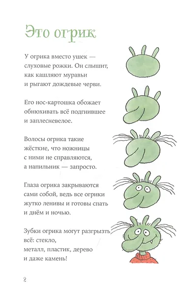 Огрики: Куда хотим, туда летим! - фото 2