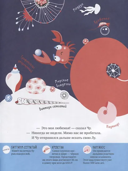 Отважный краб Чу. Путешествие в океанские глубины - фото 4