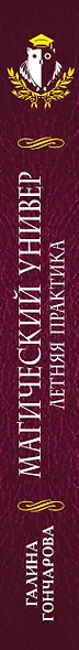 Магический универ. Книга вторая. Летняя практика - фото 4