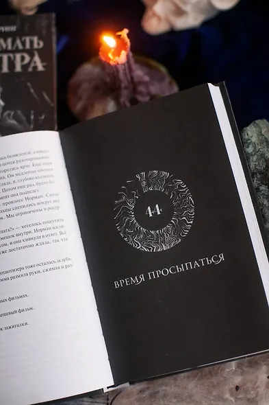 Как поймать монстра. Круг третий. Книга 1 - фото 13