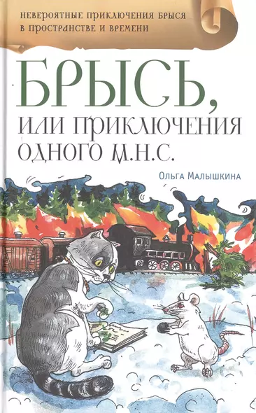 Брысь, или Приключения одного м.н.с. - фото 1