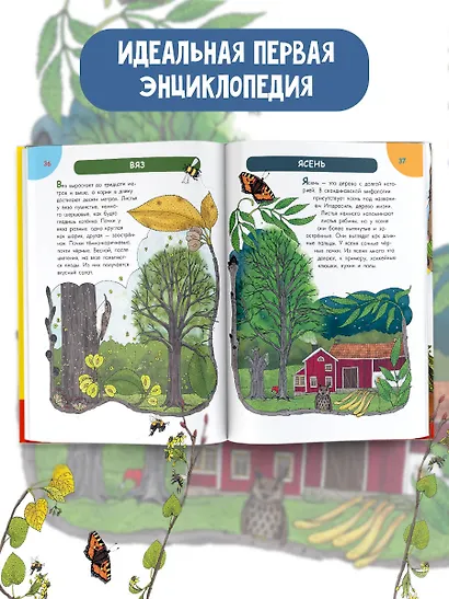 Первая энциклопедия почемучки. Мир вокруг: животные, насекомые, грибы и ягоды, цветы и растения - фото 5
