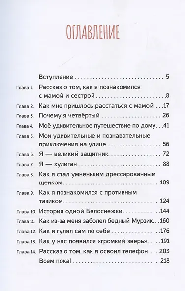 Записки лохматого щенка - фото 3
