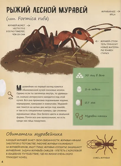 Кто появляется на свет из яйца? - фото 4