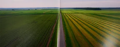 Ленинградская область: 300 метров и выше - фото 5