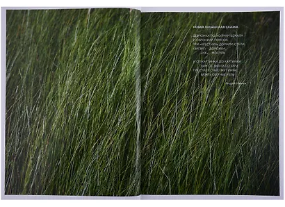 Татлин.Клаугу Муйжа.Альбом - фото 3