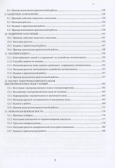 Безопасность жизнедеятельности. Теория и практика - фото 5