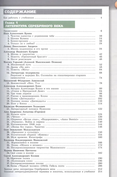 Абелюк. Литература. 11 класс. Базовый уровень. В 2 частях. Часть 1. Учебник. - фото 2