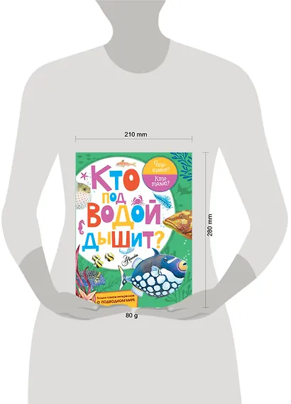 Кто под водой дышит? - фото 3