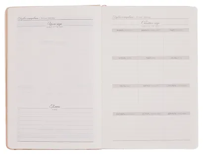 Ежедневник недат. А5 120л "Софт-тач глосс" бежевый, кожзам, мягк.переплет, тиснение 3D-фольгой, справ.мат-лы, ляссе, подар.карт.коробка с ПВХ-крышкой - фото 7